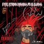 EVER.V.THING.I.WANNA.DO.IS.ILLEGAL (Explicit)
