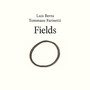 Fields (Reworked)