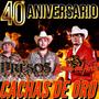 Cachas De Oro (40 Aniversario) (feat. Los Presos De Nuevo Leon)