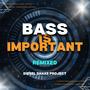 Bass is Important (Remixed)