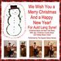 We Wish You a Merry Christmas and a Happy New Year! For Auld Lang Syne! Christmas Music and New Year Music With Jigs, Christmas Country Music and Holiday Music Cheer!