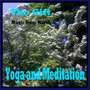 Yoga and Meditation