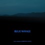 Blue Whale