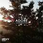 Adore (Melvv Remix)