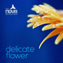 Delicate Flower