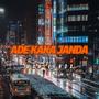 DJ ADE KAKA JANDA