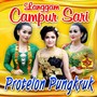 Protelon Pungkruk