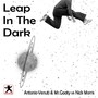 Leap in the Dark