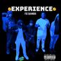 Experience (Explicit)