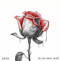 Blume ohne Licht
