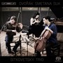 DVOŘÁK, A.: Piano Trio No. 3 / SMETANA, B.: Piano Trio / SUK, J.: Elegie (Sitkovetsky Trio)