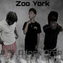 Zoo york (feat. High I’m jet & x.xDrop) [Explicit]