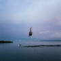 I'm Flying