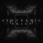 Synthetic Skies (feat. Kyle Weeden) [Explicit]