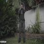 tools (Explicit)
