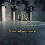 Sound of your voice