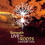 Beneath the Roots: Live in Cascade Cave