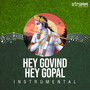 Hey Govind Hey Gopal (Instrumental)