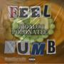 Feel Numb (feat. Polonatee) [Explicit]