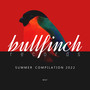 Bullfinch Summer 2022 Compilation