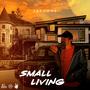 Small Living