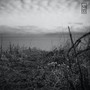Summer Breeze (feat. Travis Mendes) [Explicit]