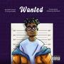 Wanted (Explicit)