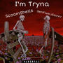 Im Tryna (feat. ScoomShells & GenFiveLiSavvv) [Explicit]