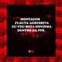 Montagem - Flauta Agressiva - Eu Vou Bota Novinha Dentro da Ppk (Explicit)