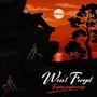 Wont Forget (Radio Edit)