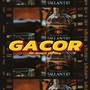 GACOR