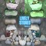 Lively Stones