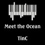 Meet the Ocean