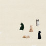 Cats and dogs