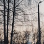 прощай, луна