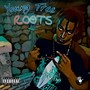 Roots