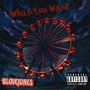 What You Want (Explicit)
