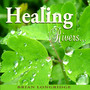 Healing Rivers 2