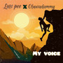 My Voice