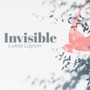 Invisible