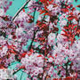 HEIMAT