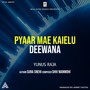 Pyaar Mae Kaielu Deewana