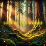 Lost in the Woods