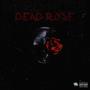 DEAD ROSES (Explicit)