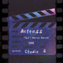 Actress (Explicit)