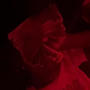 open wide (Explicit)