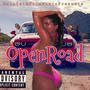 Open Road (feat. BigHomie Breezo)