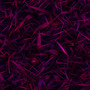 Purple Grass