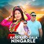 Rato Rato Gala Ningarle