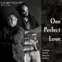 One Perfect Love